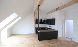 Wohnzimmer mit offener Küche